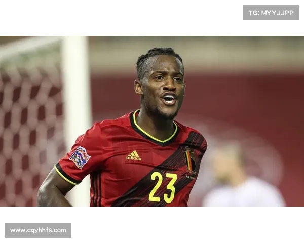 巴舒亚伊语言特点及其在当代社会中的文化与社会影响分析